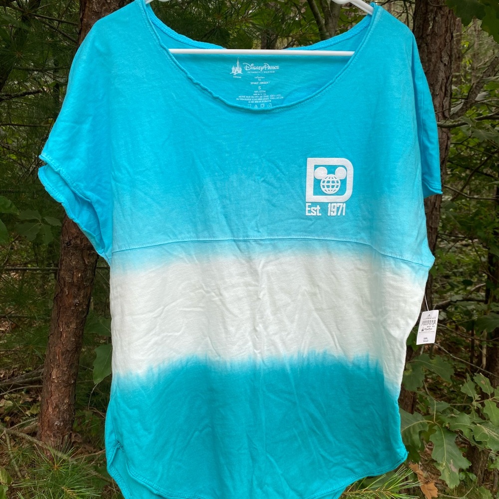 Disney World Spirit Jersey